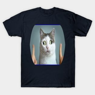 cat meme T-Shirt